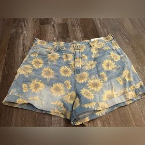 NWT AMERICAN EAGLE SHORTS SIZE 18